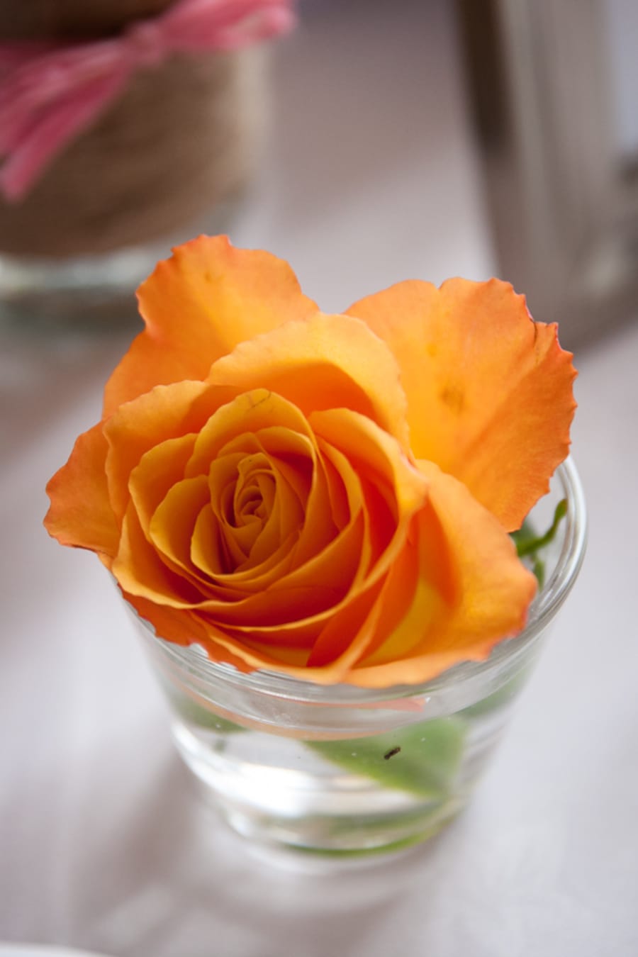 South East | Buckinghamshire | Aylesbury | Autumn | Country | Classic | DIY | Orange | Teal | Manor House | Real Wedding | Isha Photography #Bridebook #RealWedding #WeddingIdeas Bridebook.co.uk