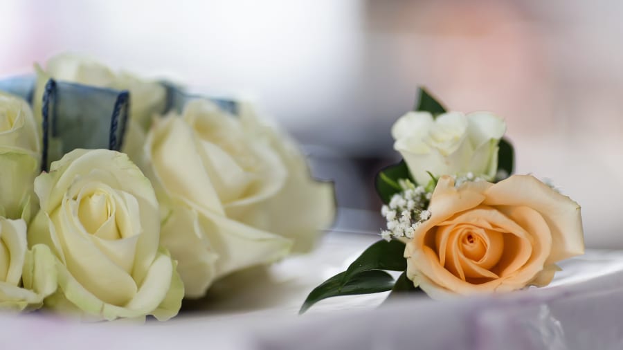 South West | Dorset | Poole | Spring | Coastal | Classic | Navy | White | Hotel | Real Wedding | Jennie Franklin #Bridebook #RealWedding #WeddingIdeas Bridebook.co.uk