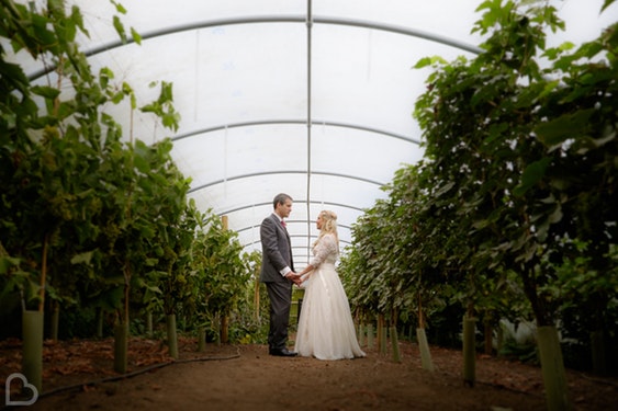 Bridebook.co.uk Knightor Winery