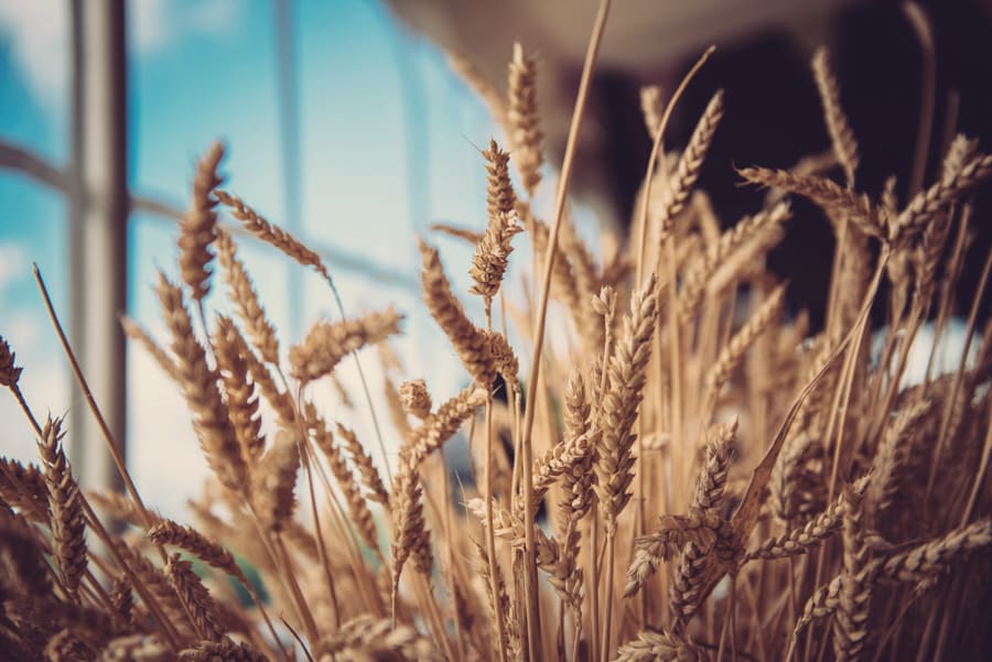 Outdoor | Farm | Barn | Rustic | Barn | Marquee | Tractor | Summer | Marlborough | Peter Smart #Bridebook #RealWedding #WeddingIdeas Bridebook.co.uk 