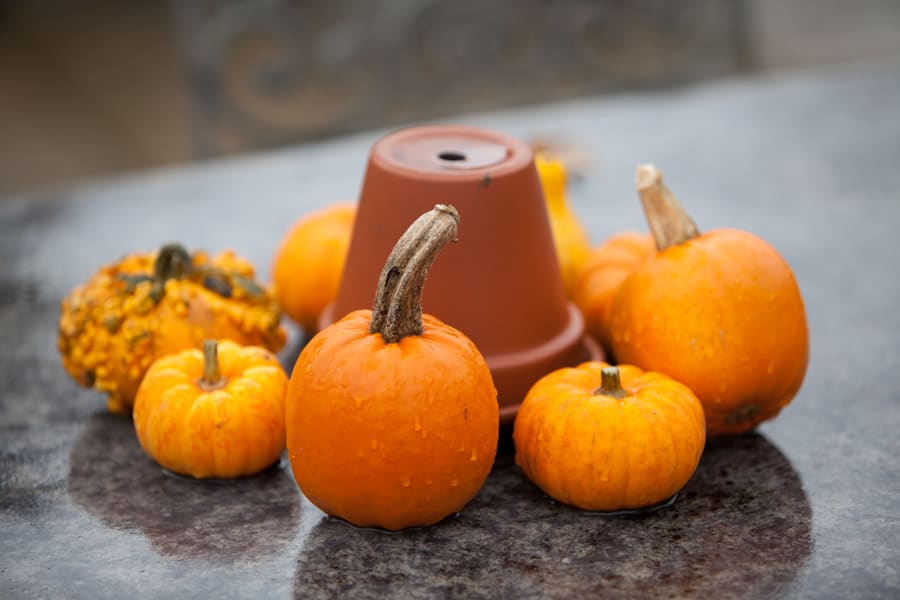 South East | Norfolk | Beccles | Autumn | DIY | Classic | Orange | Brown | Barn | Real Wedding | Si Grand Photography #Bridebook #RealWedding #WeddingIdeas Bridebook.co.uk 