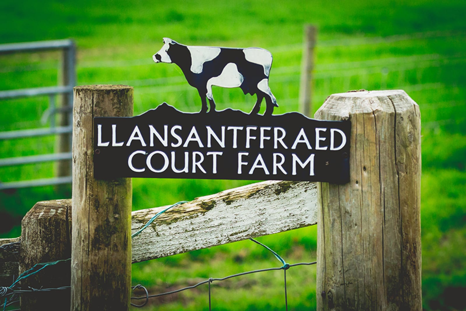 Abergavenny | Scotland | Monmouthshire | Abergavenny | Summer | Classic | Military | Yellow | Manor House | Real Wedding | Art By Design Photography #Bridebook #RealWedding #WeddingIdeas Bridebook.co.uk