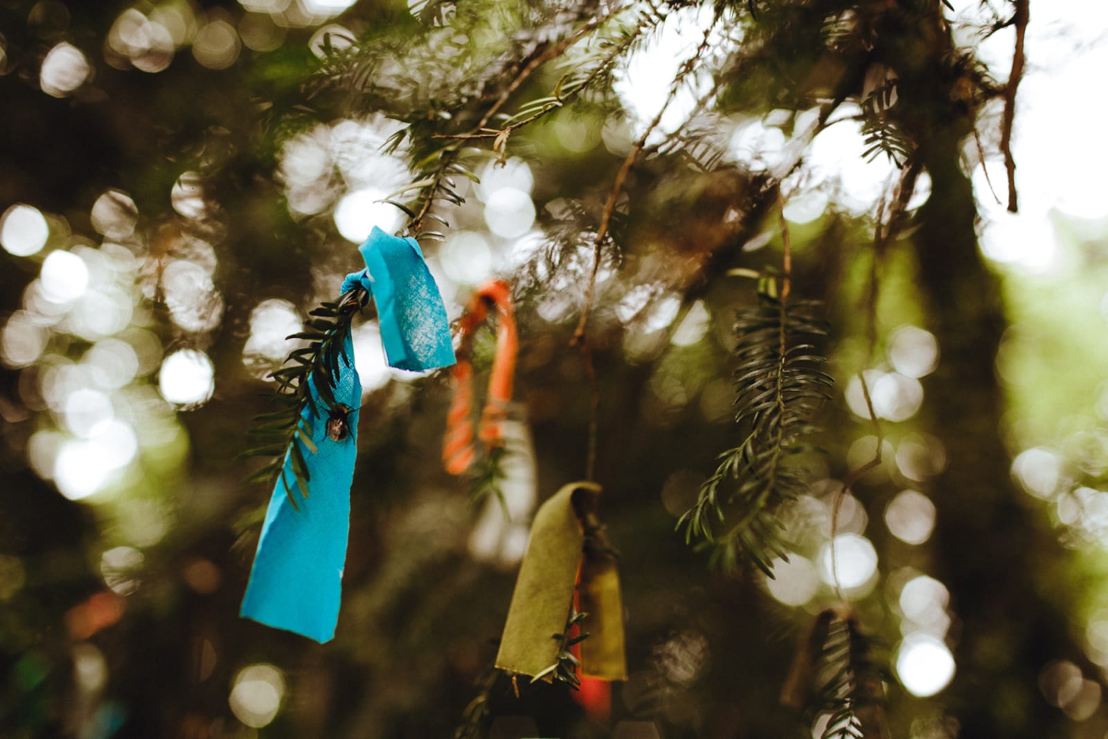 South West | Gloucestershire | Tetbury | Spring | Cultural | DIY | Outdoor | Pink | Brights | Outdoor venue | Real Wedding | Boy Called Ben Photography #Bridebook #RealWedding #WeddingIdeas Bridebook.co.uk