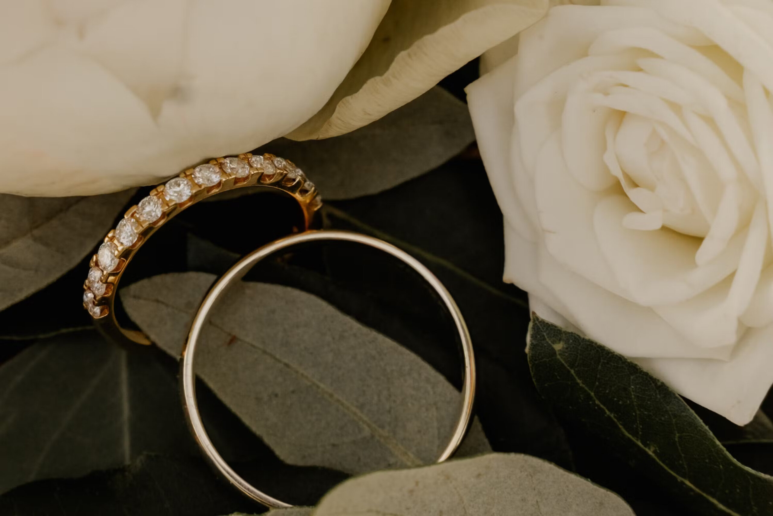 Zwei Ringe vor Rosen