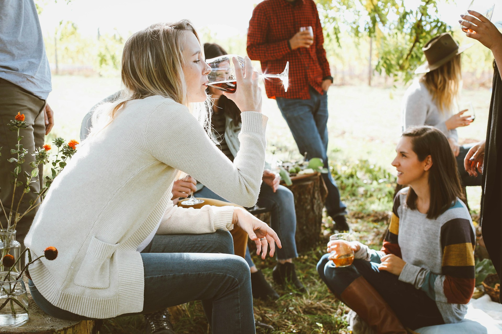 People sitting in the park drinking wine